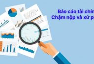 Mức phạt chậm nộp báo cáo tài chính năm 2024